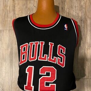 NBA Bulls #12 Jersey